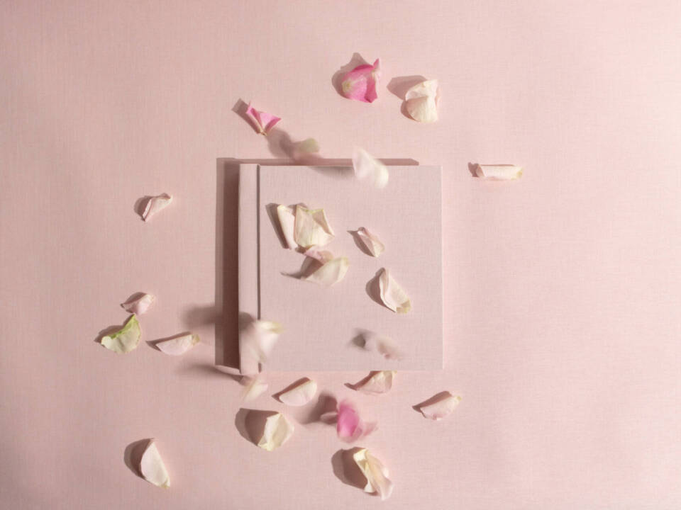 a pink photo album on a pink background with rose petals covering it