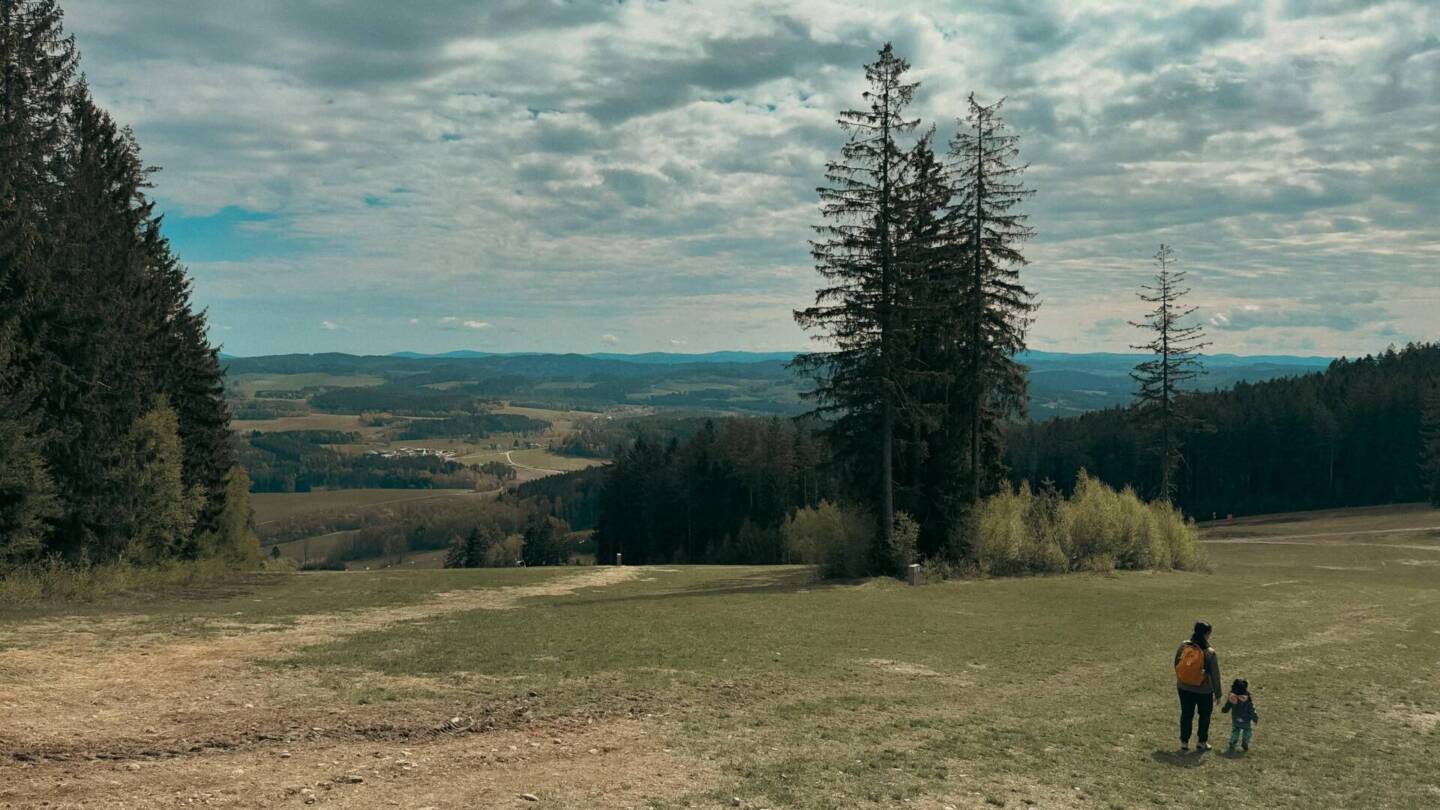 landscape image of a national park with trees
